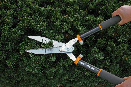 and Bush TABOR TOOLS B212 Extendable Hedge Shears for Trimming Borders Boxwood 