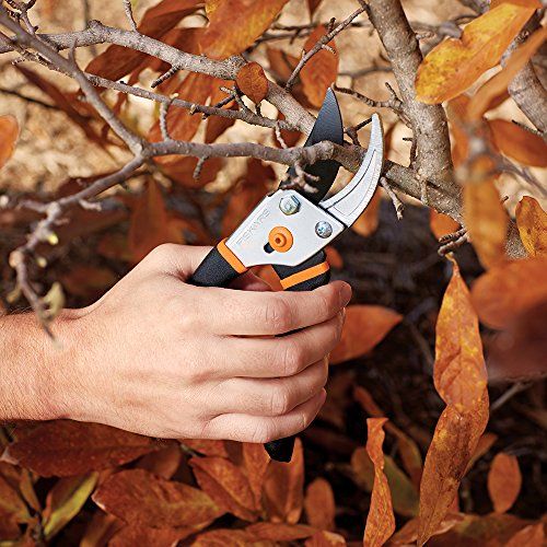 electric garden hand clippers