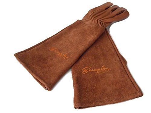 long gardening gloves