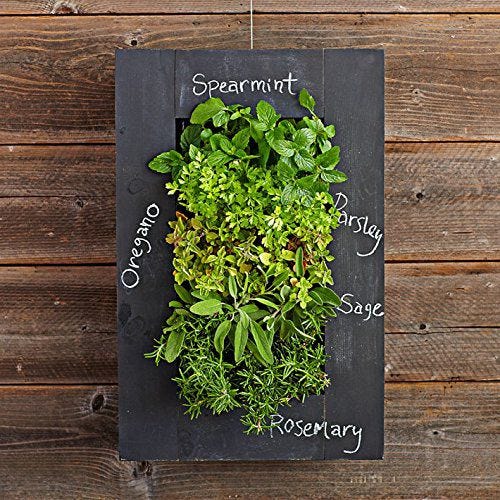 Fun Wall Decor 