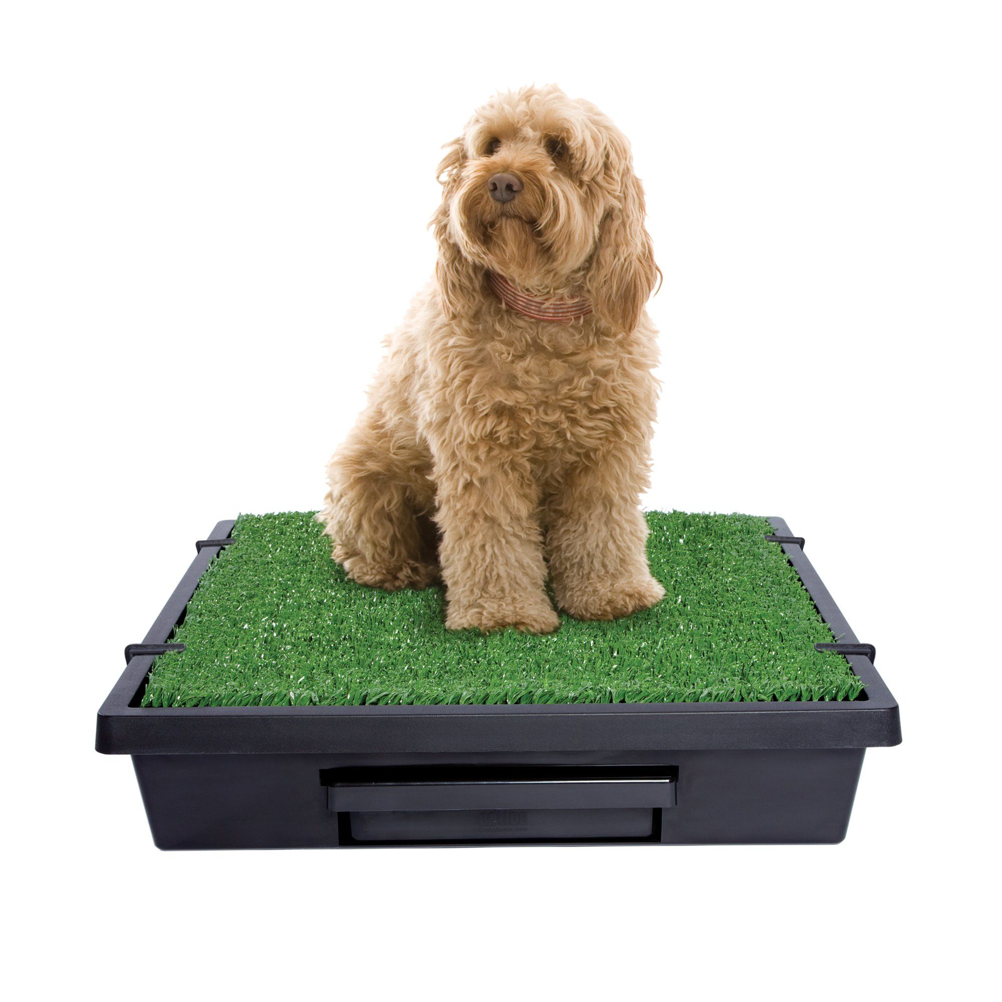 sod box for dogs