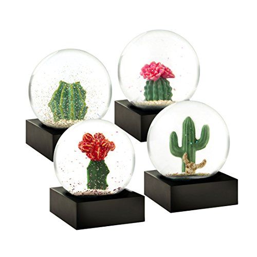 CoolSnowGlobes Cactus Set 