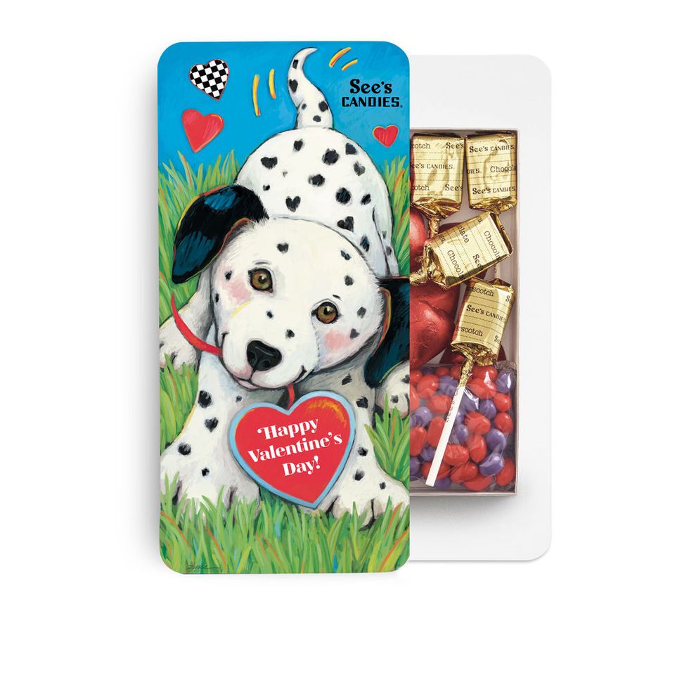 Dalmatian Kids' Lollipop Box