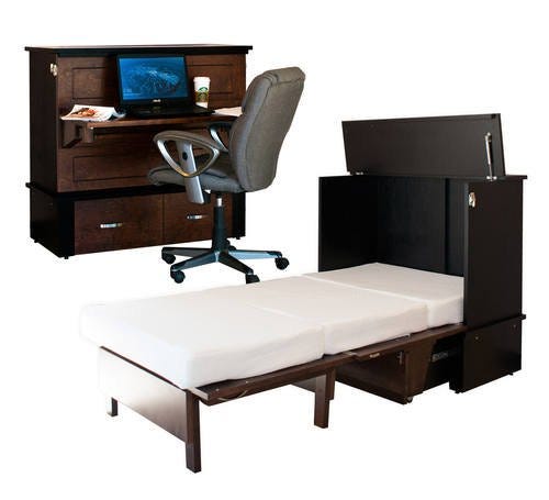 Study Buddy Cabinet Bed