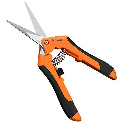 electric yard clippers