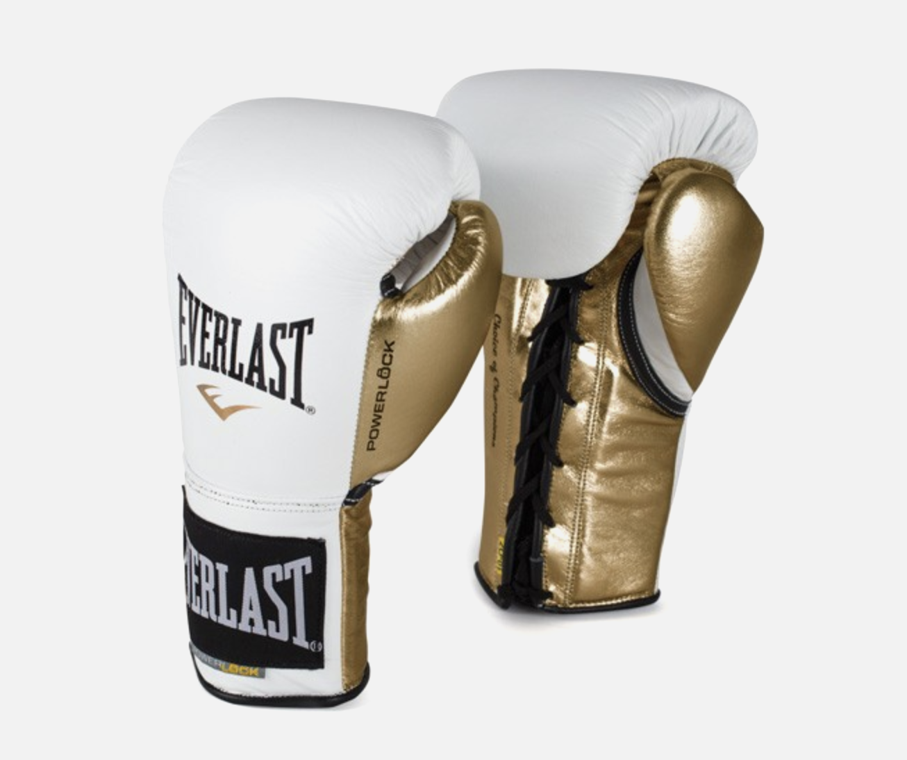 everlast boxing kit