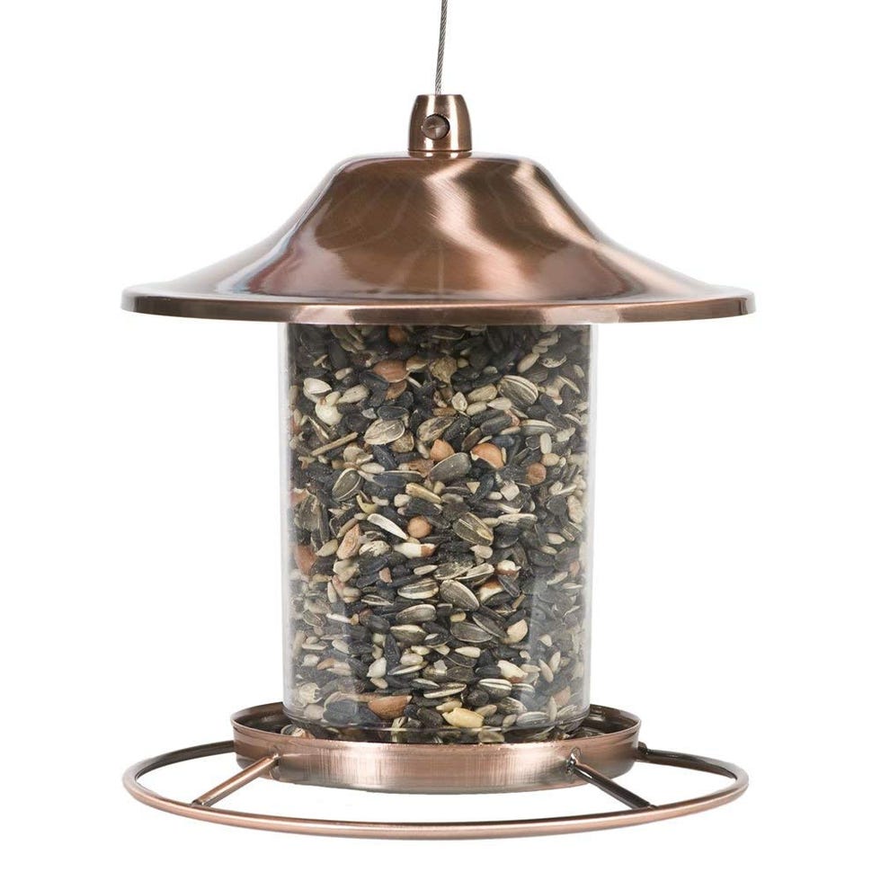 Copper Panorama Bird Feeder