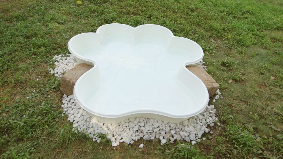 A Paw-Shaped Play Pool