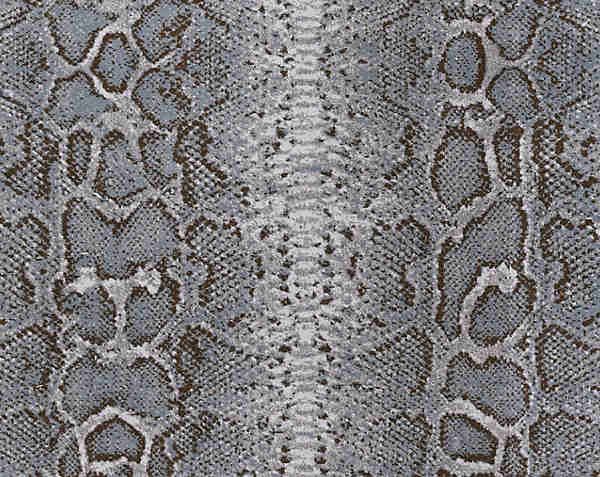 Python Carpet in Frost