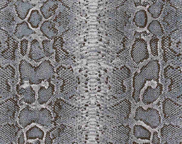 Stark Snakeskin Carpet is Our New Favorite Neutral