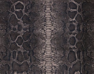 Stark Snakeskin Carpet is Our New Favorite Neutral