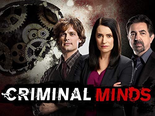 Criminal minds season 14 online episode 15 full episode