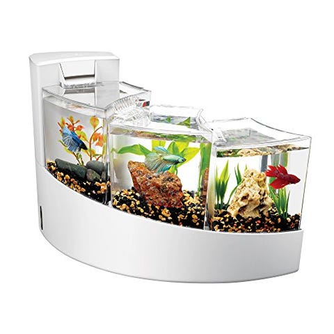 best summer amazon finds