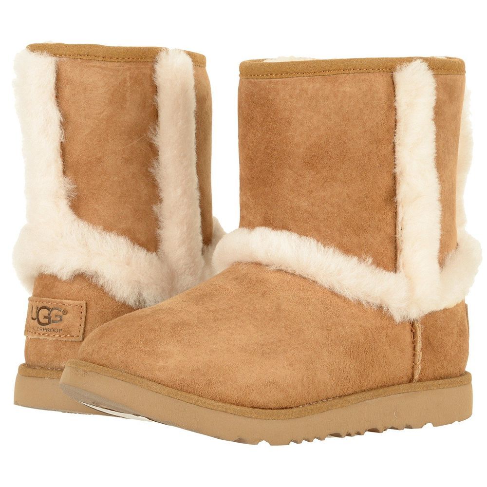 uggs at zappos