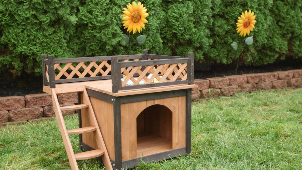 A Contemporary Dog House
