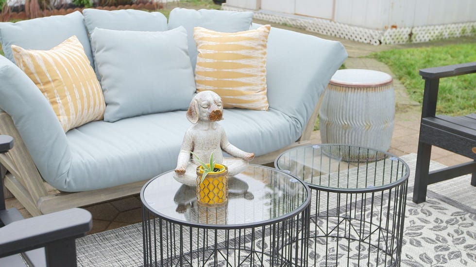 A Yoga Dog Statue