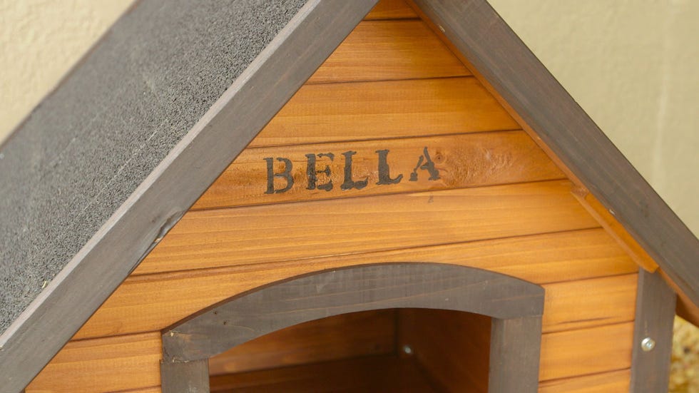 A Rustic Dog House