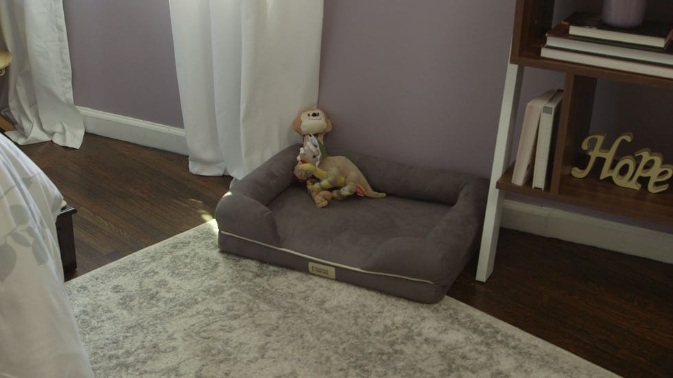 A Mini Dog Bed