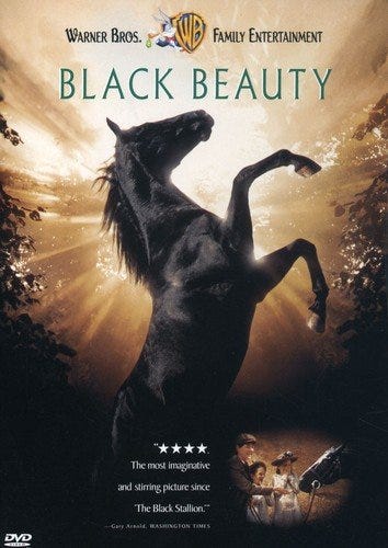 20 Horses Movies for Every Equestrian Aficionado - Best Films About Horses