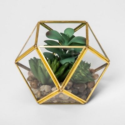 Succulent Glass Terrarium