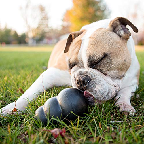 11 Indestructible Dog Toys for Your Furry Friend, Architectural Digest