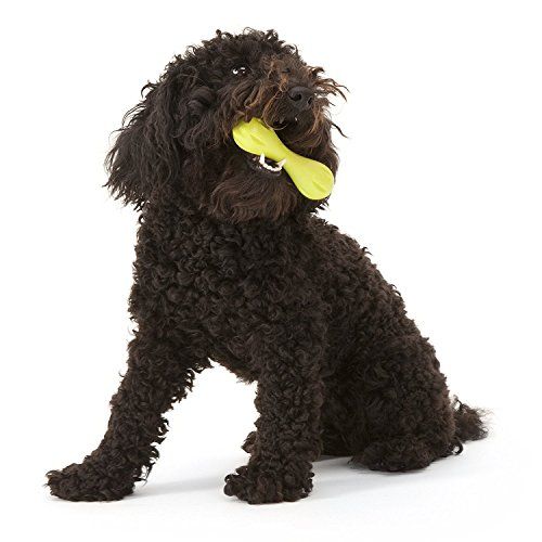 11 Indestructible Dog Toys for Your Furry Friend, Architectural Digest