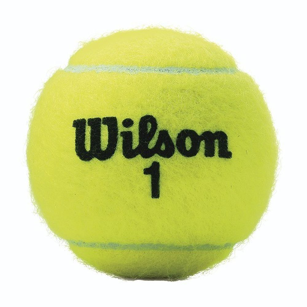 Wilson Prime All Court Tennis Balls Renewed