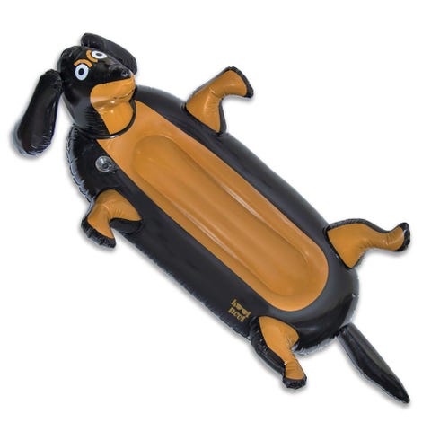 dachshund inflatable pool float