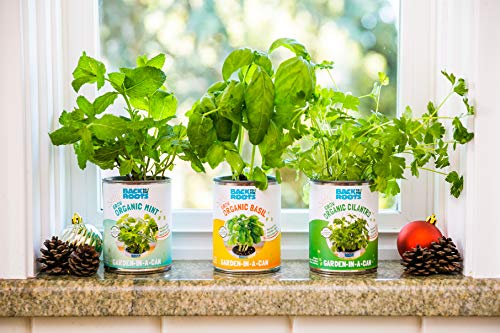 Kitchen Herb Garden Kit