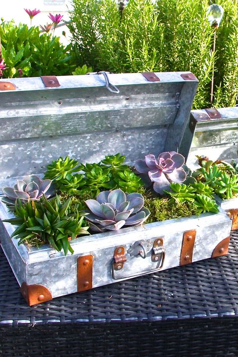 20 Unique Container Gardening Ideas, Unique Outdoor Plant Pots
