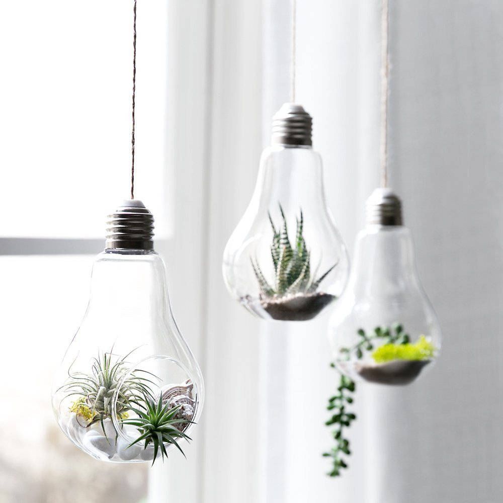 Hanging Terrarium Bulbs