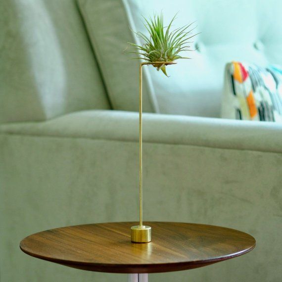 Brass Air Plant Stand