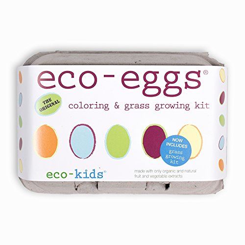 Eco-Eggs Coloring Kit