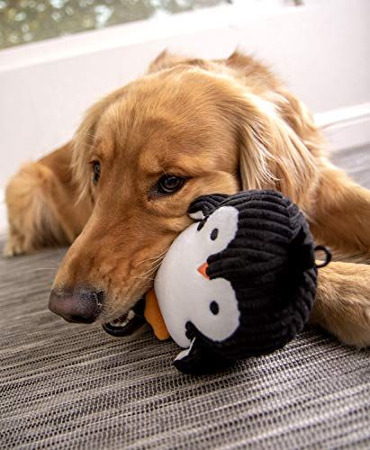 soft dog toys without squeakers