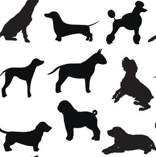 This Puppy-Patterned Wallpaper Will