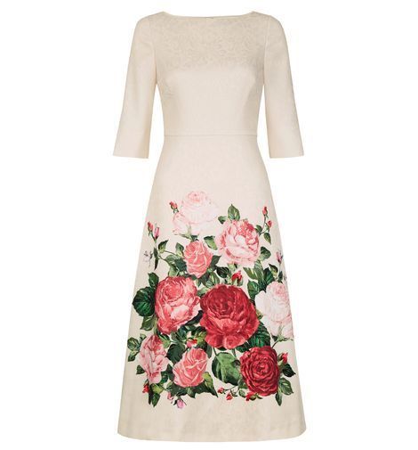 hobbs painted rose dress