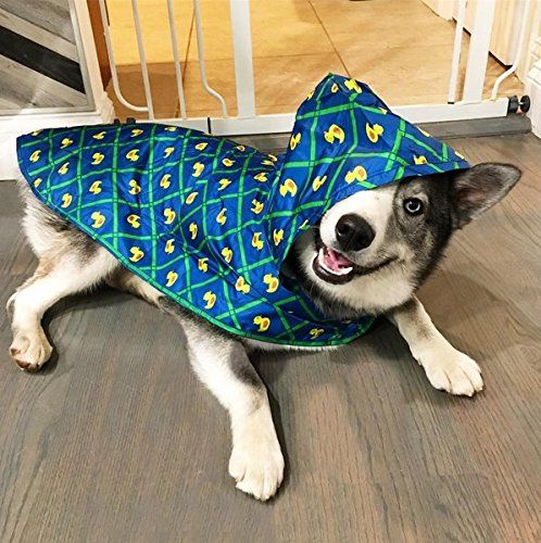 Rc pets sales rain jacket