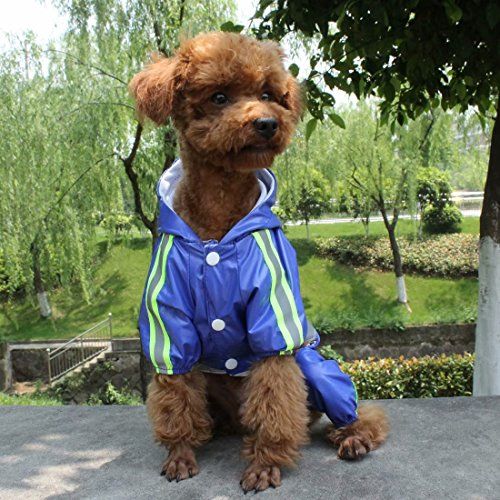 The Best Dog Raincoats You Can Buy on Amazon - Pet Raincoats Sold Online