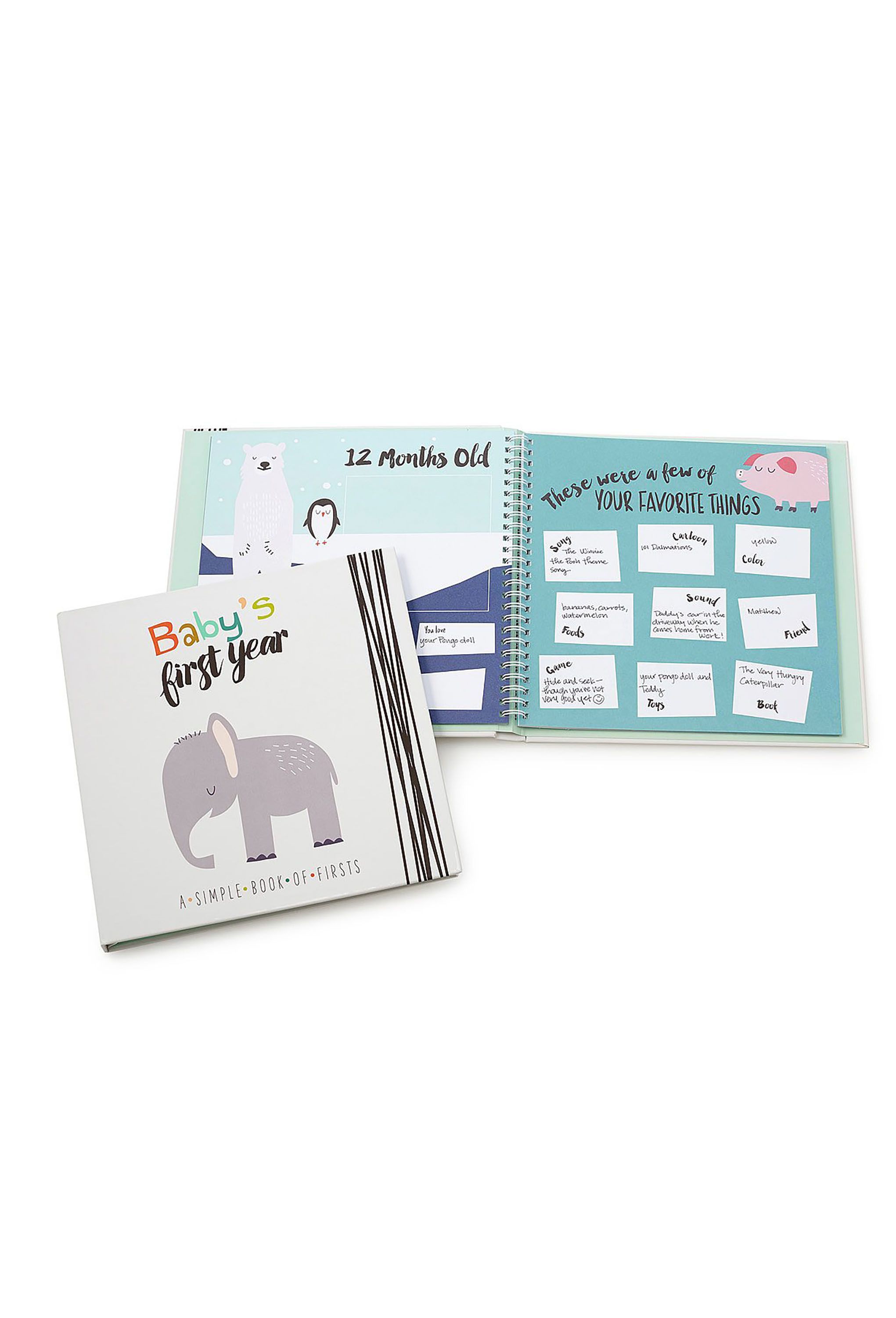 Baby S First Year Memory Book