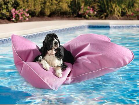 dog friendly pool floats