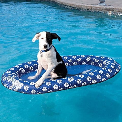 hot dog pool float