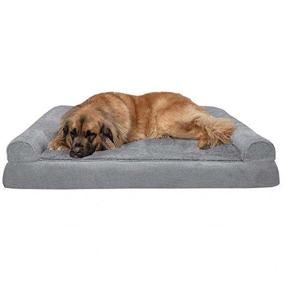 Pet Sofa Style Dog Bed