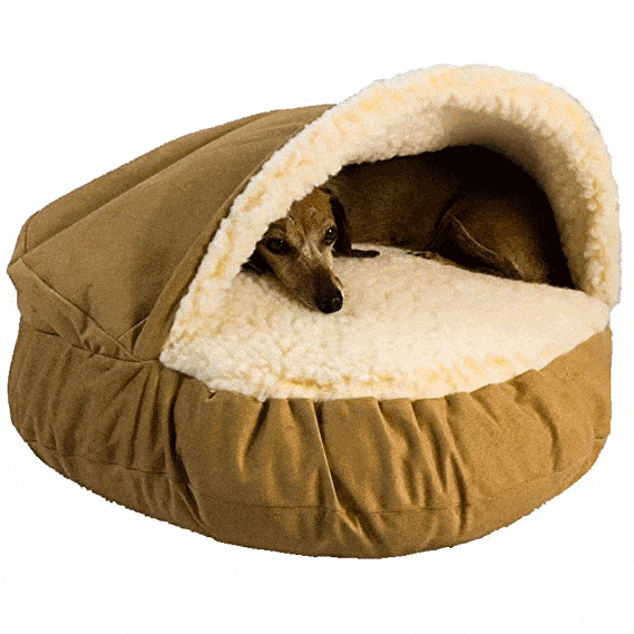 unique dog beds for large dogs