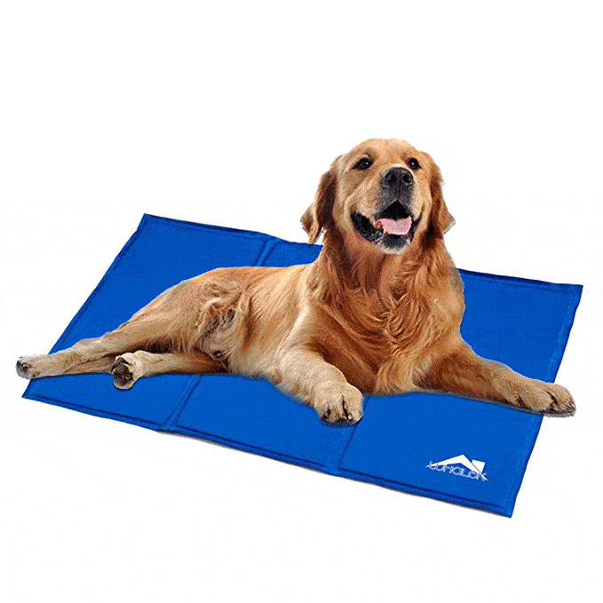 16 Best Dog Beds in 2020 - Top-Rated 