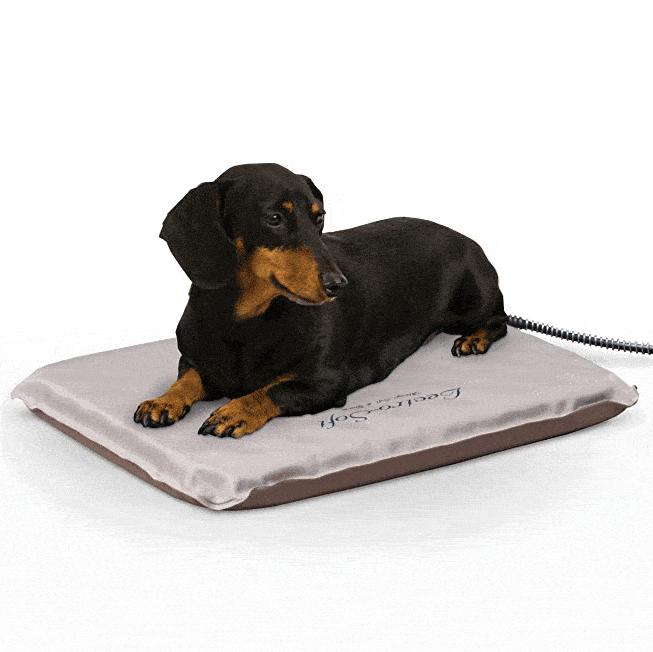 10 Best Dog Beds In 2021 Top Rated Beds For Small And Large Dogs