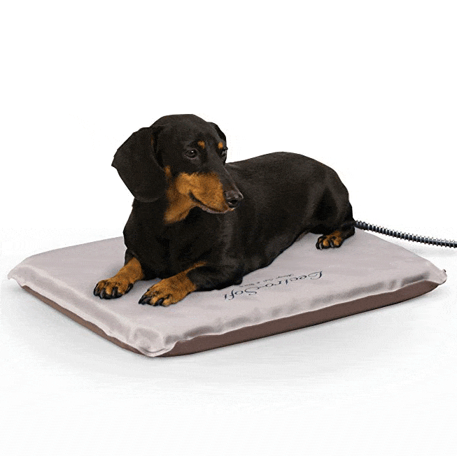 what is the most comfortable dog bed
