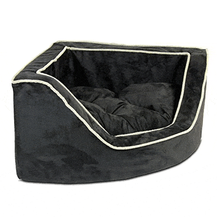 cool dog beds for sale