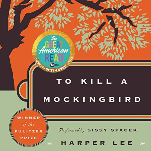 'To Kill a Mockingbird' by Harper Lee