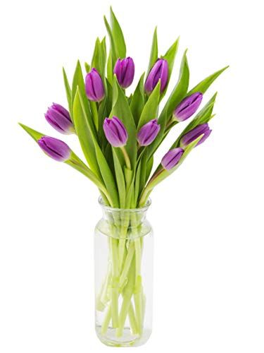 Purple Tulips with Vase 