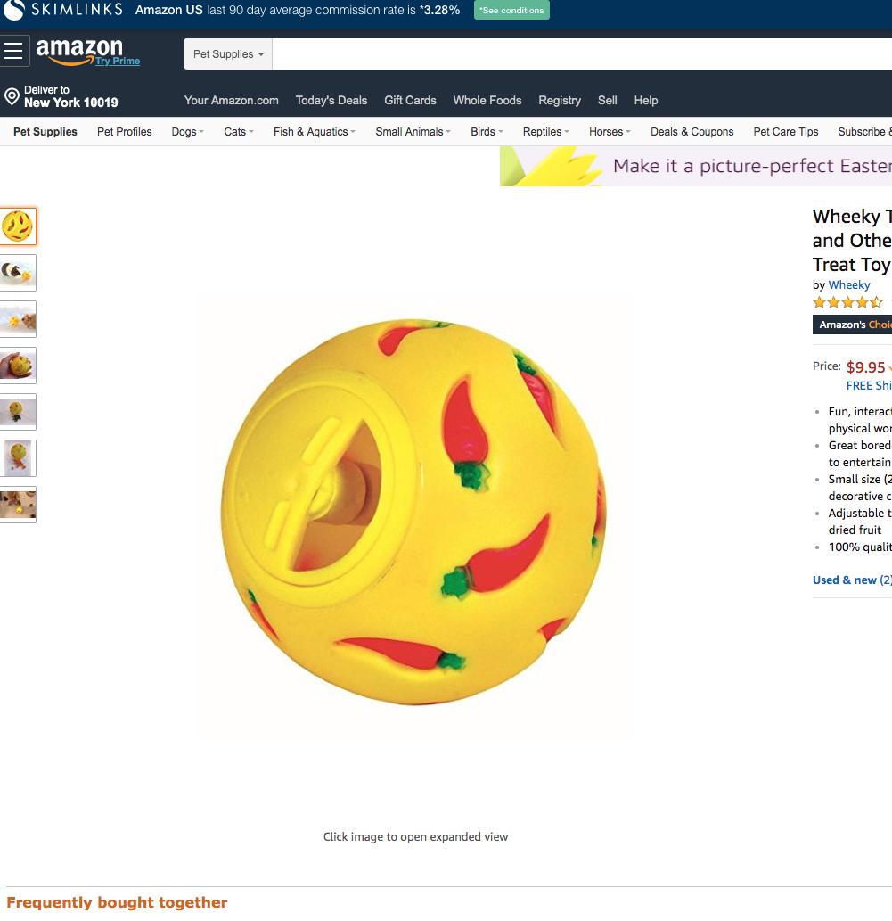 guinea pig toy for kids